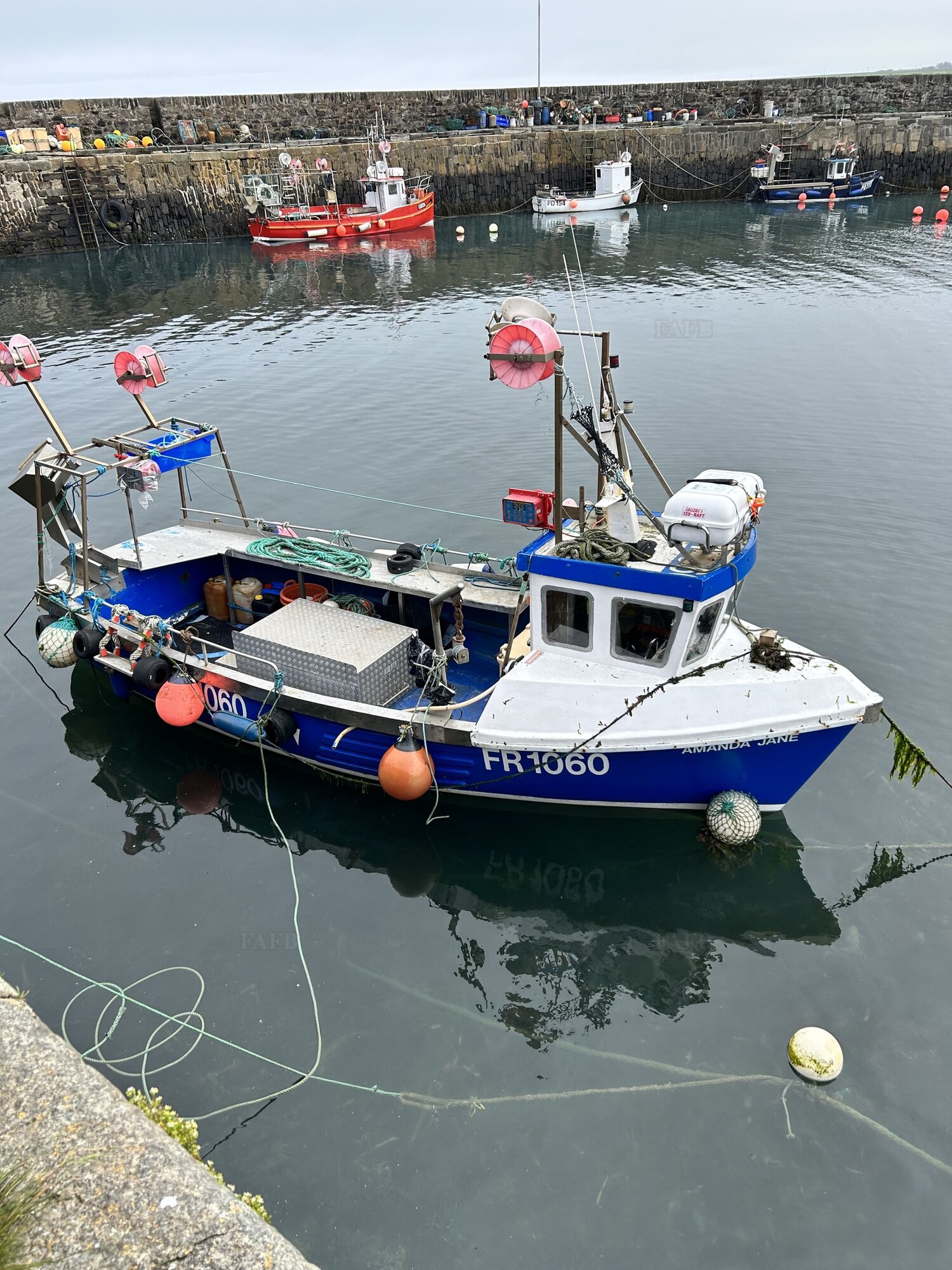 Large picture for advert 130653