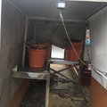 Extra picture for advert 104903