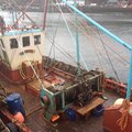 Extra picture for advert 104903