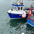 Extra picture for advert 130653