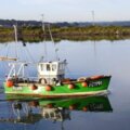 Extra picture for advert 116853