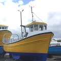 Extra picture for advert 113003
