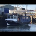 Extra picture for advert 105203